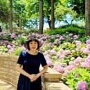 구민운동장(공중) 이미지