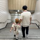 경기 고양, 일산 킨텍스 트래블쇼 2025, 2025 K-Festiva, 메가쇼 먹고 마시고 놀다 온 이야기.