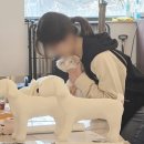 유일동물병원 네이버블로그