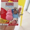 퍼피애견 이미지