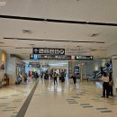 바닷속고기왕국 | 일본 오키나와 여행 가볼만한곳 소바 맛집 수족관 오키나와 날씨 1월