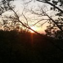 구례공인중개사사무소 이미지