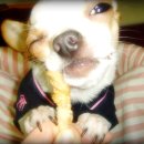 산이랑 바다 이미지