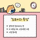 고양이미용실 나른하냥 이미지