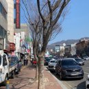 피자스쿨 은행점