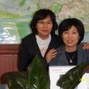 굿모닝단지내공인중개사사무소 이미지