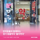 둘이약국 이미지
