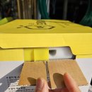 수정벌마야 이미지