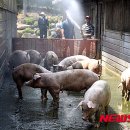 재남농장 이미지