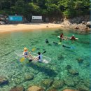 삼척장호어촌체험휴양마을 | 시원한 바람과 에메랄드빛 바다, 삼척 장호어촌체험휴양마을에서 만나는 특별한 경험!