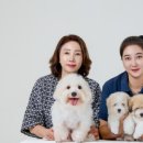 꼬똥사파이어 네이버블로그