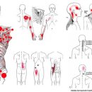 리핏앤케어 이미지