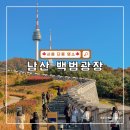 광장 | 서울 가을 단풍 명소 추천 남산 백범광장 방문 후기