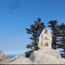 292차 26년 9월 정기산행 공지(강원도 오대산 노인봉1338m) 이미지