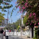 세븐일레븐천천해피니점 | 치앙마이 말리호텔 근처 추천 ( 브런치·커피·주스바 직접 다녀온 후기)