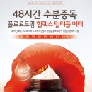 힐렉스