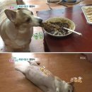 복도야지 - 달성군 테크노상업로2길 15-1 | 복도야지