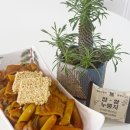 바삭떡볶이 - 평택시 특구로5번길 9 | 바삭떡볶이