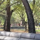 김삿갓면-17 | [기억저장소] 왕과 사는 남자영화보고 떠오른 과거 영월여행기(2022년 4월 영월 청령포, 장릉, 장릉...