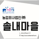 소금강솔내마을 이미지