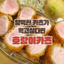 [경주 황리단길] 담백한 카츠가 당긴다면 &#39;호랑이카츠&#39; 후기