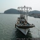 천리포항 이미지