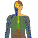 Nerve System 이미지