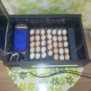 아부지농장 이미지