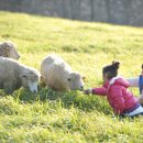 즐거운목장 이미지