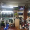 서촌로32번길 네이버블로그