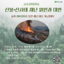 [모집] 27기 무위당학교 ｜산불·산사태 재난 원인과 대안_숲의 재야생화를 통한 재난 대응 가능할까?