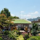 안덕면 대평 버스정류장 이미지