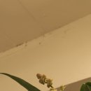 연빈화실 이미지