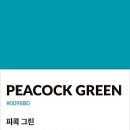 피콕블루[Peacock Green] 이미지