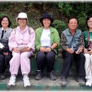 광정초교 이미지