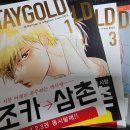스테이골드(staygold) 이미지