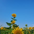 구와우농장 이미지