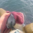 석동축산 이미지