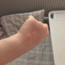 (상)슬기로운 생활공예 | 슬기로운 병원생활