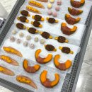 반려동물수제간식창업 | 9주간의 열정! KCAEA 반려동물 수제간식 창업반 수료 &amp; 1급 자격증 취득 후기 (내돈내산)