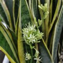 숙희농장 이미지