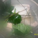 영식농장 이미지