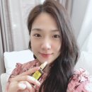 스텔(stell)