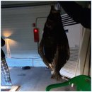 뚜루실내낚시 이미지