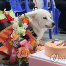 백구로-1 이미지