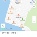등대카모터스