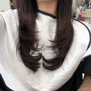 터미널편의점 | [중동 미용실] 창원 어반브릭스 미용실 ‘어코드헤어’ 주연 디자이너 레이어드 컷 후기