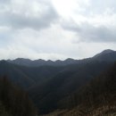 대야농장 이미지