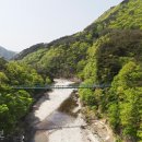 푸른계곡 이미지