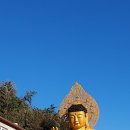 제주광명